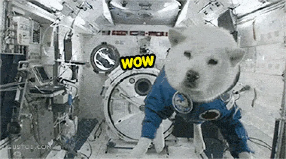astronaut dog